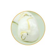 Bariboom 2 M - aktive Ölsperren